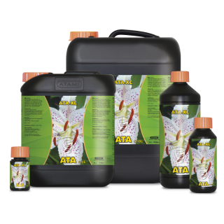 ATAMI ATA XL 10L